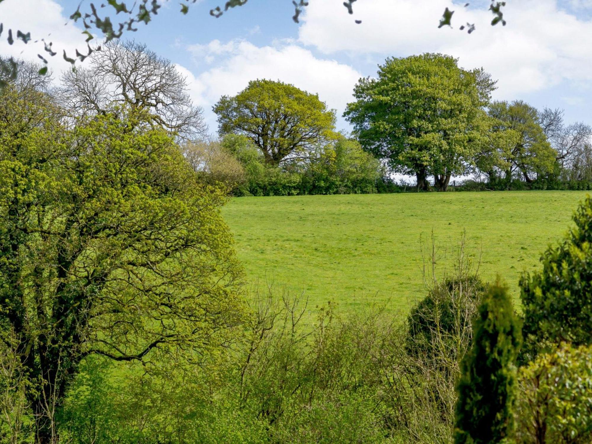 Marigold Villa Shepton Mallet Buitenkant foto